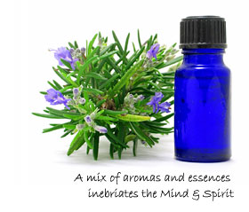 A mix of aromas and essences inebriates the Mind & Spirit